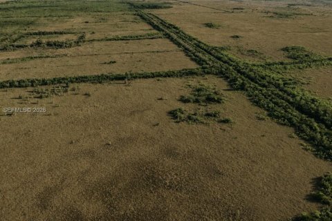 Купить земельный участок в Майами-Дейд, Флорида № 2184021 - фото 8