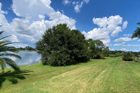 Land in Polk City, Florida № 1886923 - photo 8