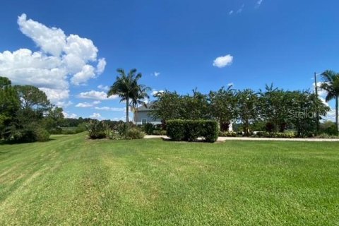Land in Polk City, Florida № 1886923 - photo 9