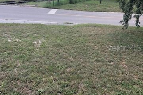 Купить коммерческую недвижимость в Юстис, Флорида № 1918932 - фото 10