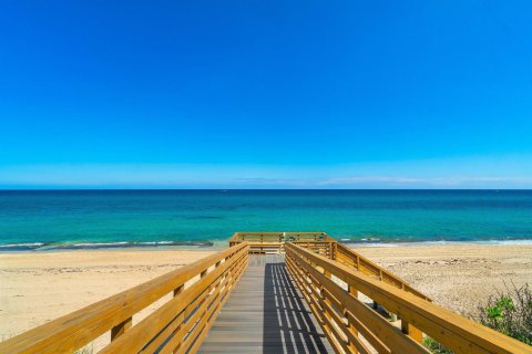 Condo in Palm Beach, Florida, 2 bedrooms  № 2251002