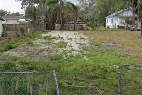 Terrain à vendre à Apopka, Floride № 2155753 - photo 3