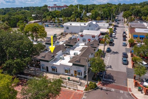Propiedad comercial en alquiler en Mount Dora, Florida, 173.45 m2 № 1285429 - foto 1