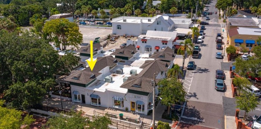 Propiedad comercial en Mount Dora, Florida 173.45 m2 № 1285429