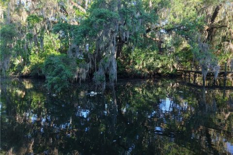 Terreno en venta en Inglis, Florida № 1661802 - foto 22