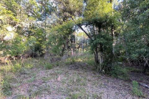Terreno en venta en Inglis, Florida № 1661802 - foto 27