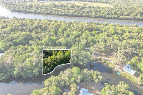 Terreno en venta en Inglis, Florida № 1661802 - foto 12