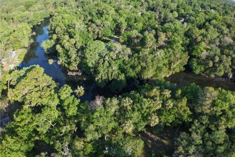 Terreno en venta en Inglis, Florida № 1661802 - foto 15