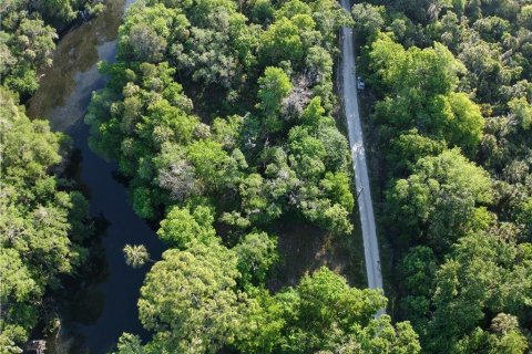 Terreno en venta en Inglis, Florida № 1661802 - foto 17