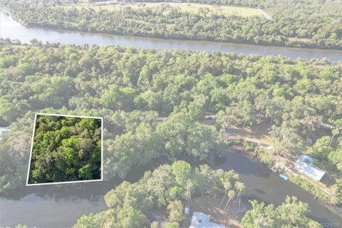 Terreno en venta en Inglis, Florida № 1661802 - foto 11