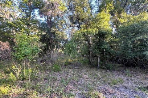 Terreno en venta en Inglis, Florida № 1661802 - foto 25