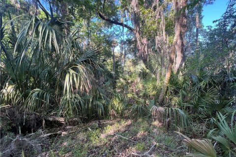 Terreno en venta en Inglis, Florida № 1661802 - foto 29