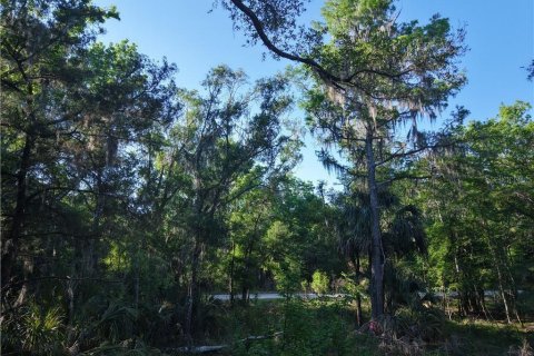 Terreno en venta en Inglis, Florida № 1661802 - foto 8