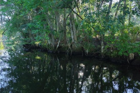 Terreno en venta en Inglis, Florida № 1661802 - foto 9