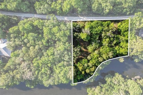 Terreno en venta en Inglis, Florida № 1661802 - foto 13