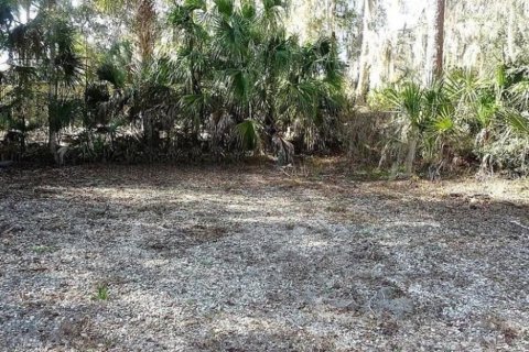Terreno en venta en Inglis, Florida № 1661802 - foto 28