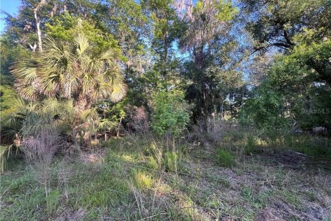 Terreno en venta en Inglis, Florida № 1661802 - foto 26