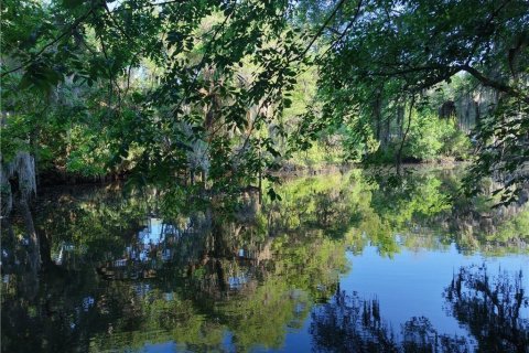 Terreno en venta en Inglis, Florida № 1661802 - foto 6