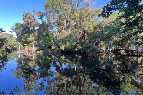 Terreno en venta en Inglis, Florida № 1661802 - foto 3