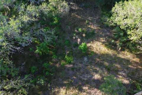 Terreno en venta en Inglis, Florida № 1661802 - foto 20