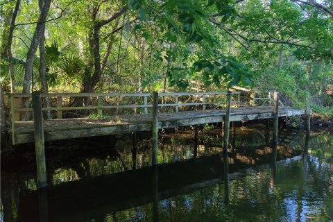Terreno en venta en Inglis, Florida № 1661802 - foto 10