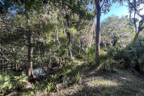 Terreno en venta en Inglis, Florida № 1661802 - foto 21