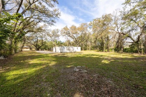 Land in Tampa, Florida № 2103307 - photo 4