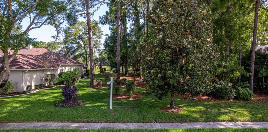 Terreno en Spring Hill, Florida № 1816272