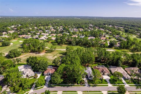 Terreno en venta en Spring Hill, Florida № 1816272 - foto 9