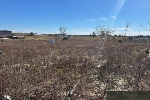 Land in Bronson, Florida № 2143869 - photo 11