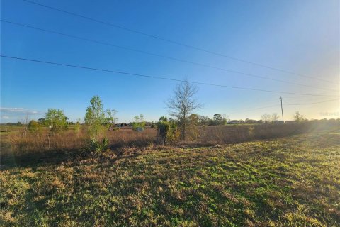 Land in Bronson, Florida № 2143869 - photo 7