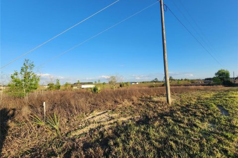 Land in Bronson, Florida № 2143869 - photo 5