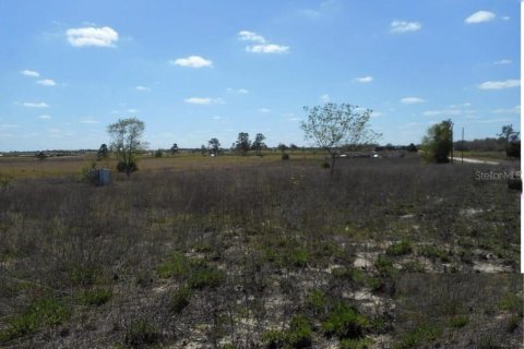 Land in Bronson, Florida № 2143869 - photo 4