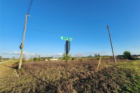 Land in Bronson, Florida № 2143869 - photo 6