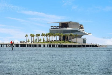Villa ou maison à louer à Saint Petersburg, Floride: 2 chambres, 106.28 m2 № 2103060 - photo 26