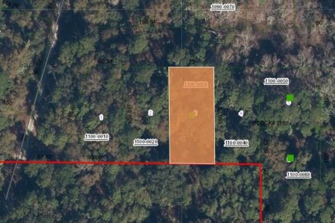 Land in Georgetown, Florida № 2165883 - photo 2
