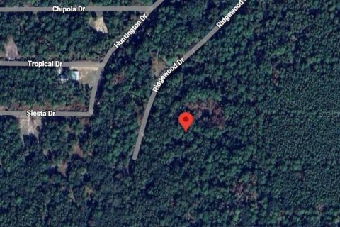 Land in Georgetown, Florida № 2165883