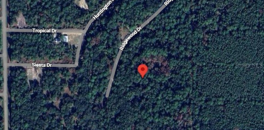 Land in Georgetown, Florida № 2165883