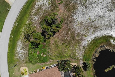Land in Rotonda, Florida № 1856339 - photo 4