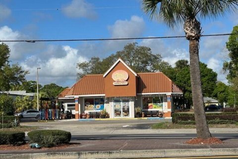 Immobilier commercial à Okeechobee, Floride № 2248488