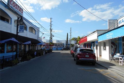 Immobilier commercial à louer à Tarpon Springs, Floride: 526.66 m2 № 1048925 - photo 24