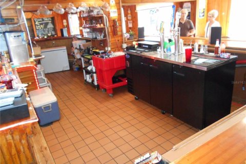 Immobilier commercial à louer à Tarpon Springs, Floride: 526.66 m2 № 1048925 - photo 3