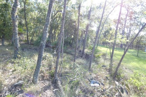Casa en venta en Weeki Wachee, Florida, 3 dormitorios, 134.24 m2 № 2386000 - foto 30