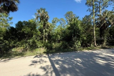 Land in Bunnell, Florida № 2098053 - photo 3