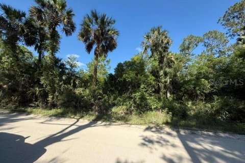 Land in Bunnell, Florida № 2098053 - photo 2