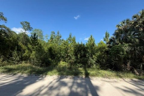 Land in Bunnell, Florida № 2098053 - photo 8