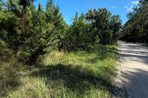 Land in Bunnell, Florida № 2098053 - photo 5