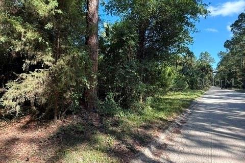 Land in Bunnell, Florida № 2098053 - photo 7