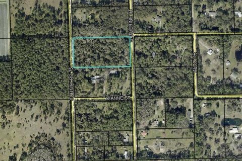 Land in Bunnell, Florida № 2098053 - photo 10