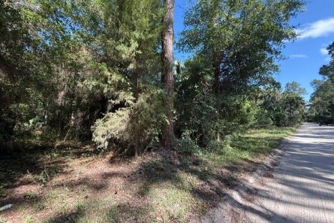 Land in Bunnell, Florida № 2098053 - photo 6